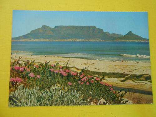 Vintage Post Card: Table Mountain from Blouberg, Cape